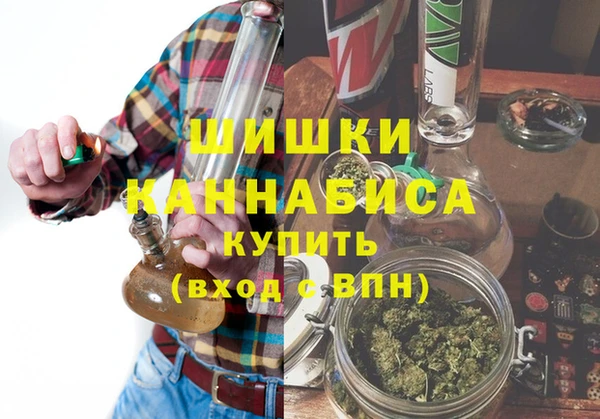 гидра Бикин