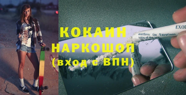 дживик Александровское
