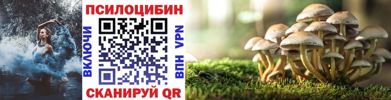 ОМГ ОМГ сайт  Касли  Псилоцибиновые грибы Magic Shrooms  закладка 