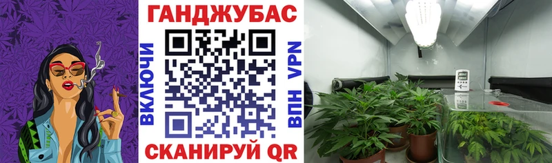 Бошки марихуана ГИДРОПОН  хочу наркоту  Касли 